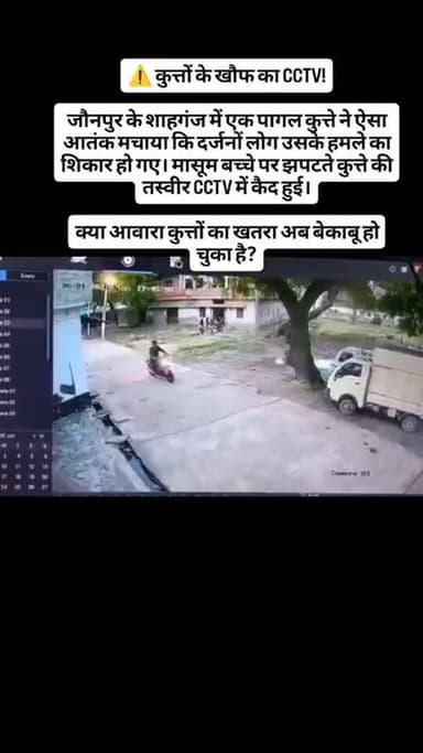 ⚠️ कुत्तों के खौफ का CCTV!
जौनपुर के शाहगंज में एक पागल कुत्ते ने ऐसा आतंक मचाया कि दर्जनों लोग उसके हमले का शिकार हो गए। मासूम बच्चे पर झपटते कुत्ते की तस्वीर CCTV में कैद हुई।
क्या आवारा कुत्तों का खतरा अब बेकाबू हो चुका है?
#dogattack #straydogs #straydog #Dog #DogVideo