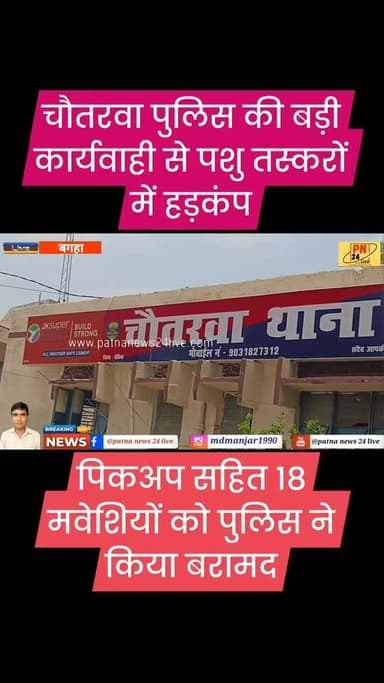 चौतरवा में तस्करी के लिए ले जाई जा रही मवेशियों से भरी पिकअप पुलिस ने किया बरामद, जांच में जुटी पुलिस।