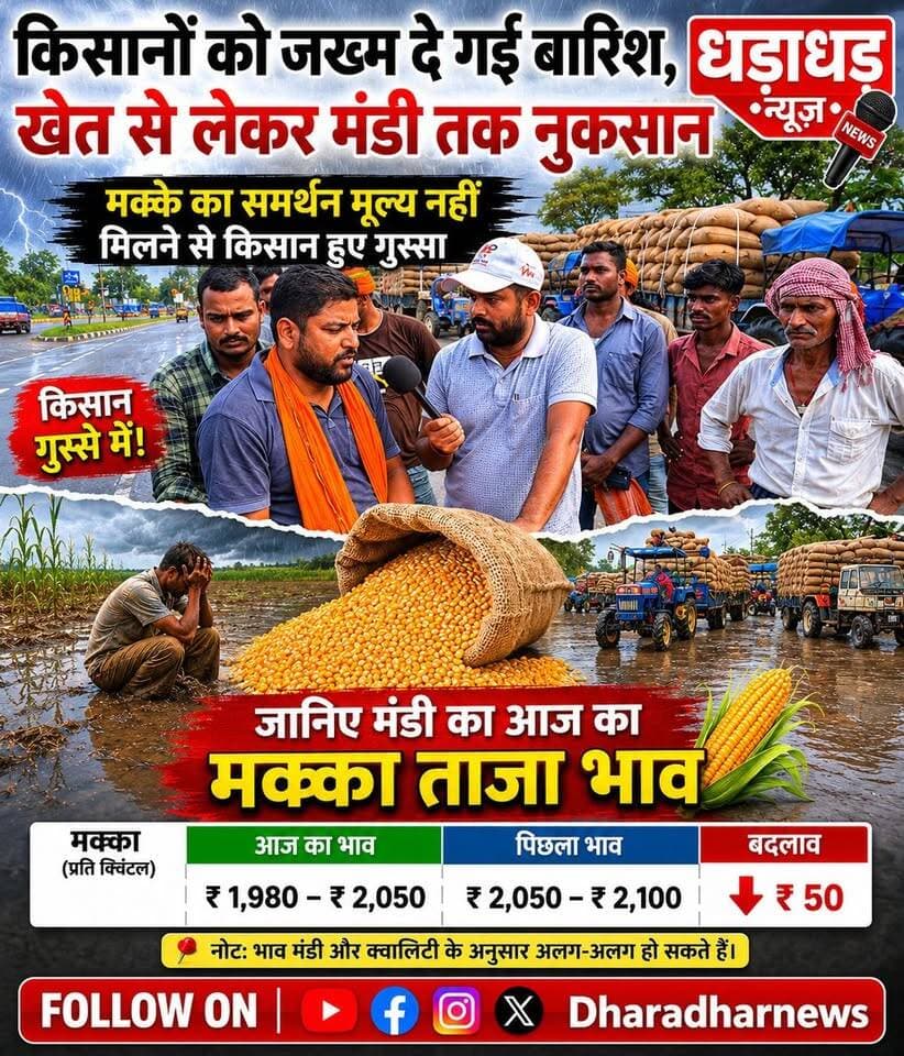 मक्के का समर्थन मूल्य नहीं मिलने से किसान हुए गुस्सा,किसानों को जख्म दे गई बारिश, खेत से लेकर मंडी तक नुकसान
#Araria #मक्का #Makka #Farmers #किसान #BiharNews #ArariaRS #मक्कारेट #किसानोंकीआवाज #RailwayLoading #MakkaBusiness #BiharFarmers #कृषिसमाचार #fb #Dharadharnews #Ararianews #Biharnews #today #live #IPL #RCBVSGT #मक्का_किसान #बथनाहा_रेट_पॉइंट #अररिया_न्यूज #किसानों_का_आक्रोश #MakkaNews #FarmersIssue #MaizeFarmers #BreakingNews #PurneaSeemanchalNews