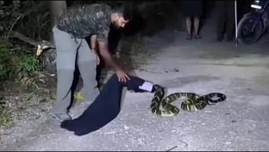 किंग कोबरा का रेस्क्यू।हुआ भोपाल पानी देहरादून में, प्रवेश कुमार, वन विभाग ने किया