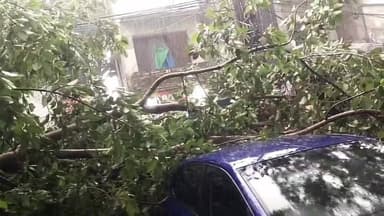 देहरादून में मौसम का यू-टर्न: दोपहर में धूप, शाम को आंधी-बारिश और तबाही!
देहरादून: उत्तराखंड की राजधानी देहरादून में आज मौसम ने अचानक करवट ले ली। दोपहर तक जहां चटख धूप खिली हुई थी, वहीं शाम होते-होते आसमान काले बादलों से घिर गया और तेज हवाओं के साथ झमाझम बारिश शुरू हो गई।
तहसील चौक के पास बड़ा हादसा, गाड़ियां दबीं
अचानक चली तेज आंधी और बारिश के कारण देहरादून के तहसील चौक के निकट स्थित पार्किंग में एक विशाल पेड़ भरभराकर गिर गया। पेड़ गिरने की वजह से पार्किंग में खड़े कई वाहन उसके नीचे दब गए। गनीमत यह रही कि किसी के हताहत होने की तुरंत सूचना नहीं है, लेकिन वाहनों को भारी नुकसान पहुंचा है।
⚠️ मौसम विभाग का 'येलो अलर्ट' जारी
मौसम विभाग ने पहले ही राज्य में हल्की बारिश का पूर्वानुमान जताया था, जिसे देखते हुए आज उत्तराखंड में 'येलो अलर्ट' जारी किया गया है।
पर्वतीय क्षेत्र: पहाड़ों में हल्की से मध्यम बारिश की संभावना है।
मैदानी क्षेत्र: मैदानों में कहीं-कहीं हल्की बौछारें पड़ने की उम्मीद है।
चेतावनी: बारिश के साथ-साथ तेज हवाएं चलने और बिजली कड़कने को लेकर भी प्रशासन ने लोगों को अलर्ट रहने को कहा है।
📢 अपील: खराब मौसम और तेज हवाओं को देखते हुए पेड़ों या जर्जर इमारतों के नीचे खड़े होने से बचें। वाहन चलाते समय विशेष सावधानी बरतें!
#DehradunWeather #UttarakhandNews #WeatherUpdate #DehradunRain #DehradunAlert #BreakingNews