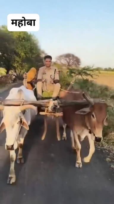 #महोबा मे शिवाकांत गौड़ CO साहब का अनोखा अंदाज, हांकी बैलगाड़ी और दिया संदेश
#RavikantGaur #Mahoba #UPPolice #Kulpahar #ViralVideo #UPNews #DieselSaving #PetrolSaving #Farmers #Bailgadi #InspiringStory #viralreelsシ #MahaobaViralVideo #UttarPradesh #COGaur