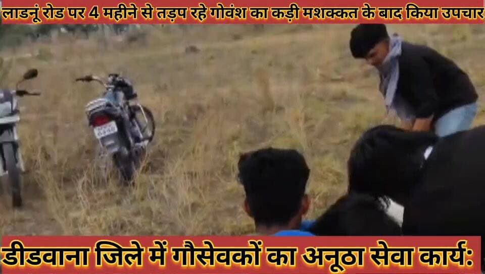 #गौसेवकों_का_अनूठा_सेवा_कार्य_लाडनूं_रोड_पर_4_महीने_से #तड़प_रहे_गोवंश_का_कड़ी_मशक्कत_से_किया_उपचार
#gosevako #ka #anutha #seva #kary #ladnu #road #par #char #mahine #se #tadap #rhe #govash #ka #kadi #mashakkat #se #kiya #upchar #news #didwanajila