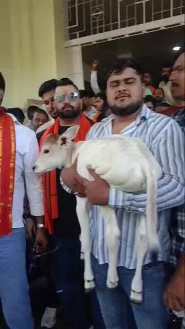 नागपुर, बजरंगी, घुसे, मेयर के ऑफिस में, गाय का बछड़ा दिया,,