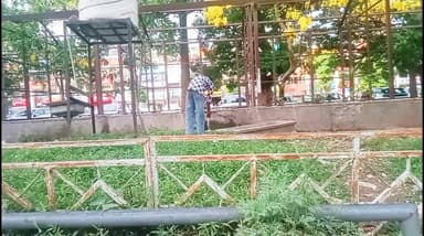 देख तेरे बागों की हालत...क्या हो गई सरकार...क्या अब रहा नहीं कोई सरोकार ?
प्रस्तुति - कमल कलसी/एस०के० जैन-
हरियाणा की शान कहे जाने वाले शिवालिक पहाड़ियों की गोद में बसे, खूबसूरत शहर पंचकूला के सेक्टर-20, में बने एक बड़े व्यापारिक केंद्र (COMMERCIAL HUB) जो की पॉच खण्डों में बना हुआ है, में सड़क किनारे पार्किंग के साथ लगते तीन बागों (GREEN BELTS) जिनका क्षेत्रफल करीब 4500 वर्ग मीटर है, की हालत इतनी खराब हो चुकी है कि उन्हें खस्ताहाल कहना भी मुनासिब नहीं होगा। प्रशासन की अनदेखी के चलते इस प्रकार शहर की ग्रीन बेल्टस खत्म होती गई तो शहर के वातावरण में से प्राणवायु यानि ऑषजन, की भारी कमी हो जाएगी।
बागों के चारों ओर लगी लोहे की रेलिंग टूट चुकी है और कहीं-कहीं तो गायब ही है। अब इन्हें बाग कहना भी बाग शब्द का अपमान होगा क्योंकि कहीं भी घास का नामों - निशां तक नहीं बचा है और ना ही बैठने की कोई जगह नजर आती है। यहाँ बने शोरूमों और दफ्तरों में काम करने वाले कर्मचारी वगैरा लंच के समय एवं बाजारों में खरीदारी करने के लिए आए बुजुर्ग महिलाएं व बच्चे कुछ देर सुस्ताने के लिए इन बागों में बैठ जाया करते थे।
कूड़े के ढेर बाग के अन्दर कई जगहें दिखाई देते हैं।स्टेनलेस स्टील के डिब्बे (DUST BINS) टूट फूट चुके हैं और गिरे पड़े हैं।कुछ दिनों के बाद ये यहां से गायब भी हो जाएंगे।आसपास खड़े रेहड़ी फड़ी वालों ने अपना - अपना सामान बागों के अन्दर रखकर अतिक्रमण किया हुआ है। रेहड़ी-फड़ी वालों के लिए कोई सुनिश्चित जगह न होने के कारण, पैदल चलने के लिए बनाई गई पटरियों पर भी उनका अतिक्रमण देखा जा सकता है। इसके चलते गाड़ियों को पार्क करने में भी असुविधा होती है। कुछ लोगों ने तो गाड़ियों को भी बागों के अन्दर पार्क किया हुआ है। कई जगह तो अनाधिकृत लोहे के फ्रेम स्ट्रक्चर भी बने हुए हैं। वैसे तो कानून को अंधा कहा जाता है। लेकिन क्या कानून को लागू करवाने वाले जिम्मेदार कर्मचारियों और अधिकारियों की भी आंखों में मोतियाबिंद आ चुका है ?
इस प्रकार जनता द्वारा दिए गए पैसे की बर्बादी क्या न्यायसंगत है ? सवाल तो उठेंगे ही। जिम्मेदार कर्मचारियों, अधिकारियों, शहर के मेयर, नगर निगम कमिश्नर व शहर के "पितामह" को तुरंत संज्ञान लेने की आवश्यकता है, ऐसा यहां आने वाले ग्राहकों और दुकानदारों का कहना है। अब आगे देखना यह है कि प्रशासन की कुंभकर्णी नींद कब खुलेगी ?