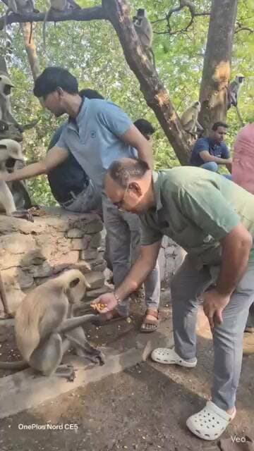 Untitled #viralvideo जो भी इस विडियो को देखकर राम राम लिखे गा उसके सब काम बन जायेंगे
