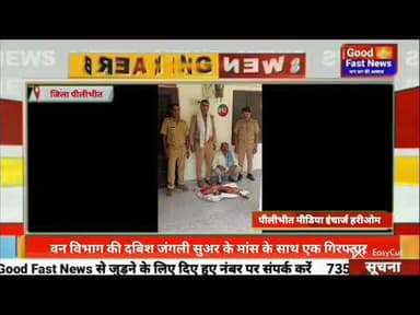 वन विभाग की दबिश जंगली सुअर के मांस के साथ एक गिरफ्तार#goodfastnews #headlinesindia