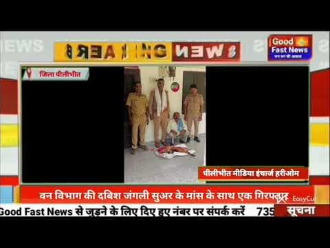 वन विभाग की दबिश जंगली सुअर के मांस के साथ एक गिरफ्तार#goodfastnews #headlinesindia