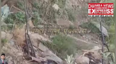 भरमौर में बिजली की तारों की चपेट में आने से बैल की मौत, विभाग पर लापरवाही के आरोप #cmohp #dcchamba #himachalpradesh #Una #mandi #hamirpur #lahaul #hamirpur #chamba #kangra #shimla