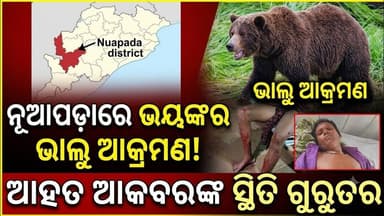 ଶୌଚ ପାଇଁ ଯାଇଥିବା ବେଳେ ଭାଲୁ ଆକ୍ରମଣ, ଭବାନୀପାଟଣା ମେଡିକାଲରେ ଚିକିତ୍ସାଧୀନ#abhayanews