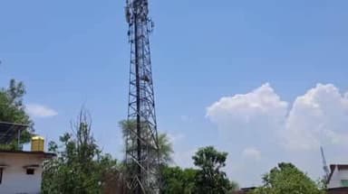 सिहोरा: वार्ड नंबर 4 में जमीन के कथित धोखाधड़ी से परेशान महिला मोबाइल टावर पर चढ़ी, सिहोरा में हड़कंप