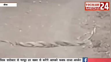 जब नाग-नागिन का जोड़ा आ गया सड़क पर...देखिए लाइव वीडियो #bina #binanews #sarp #nagnagin #dans