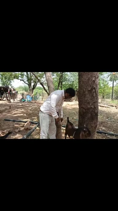ग्रीष्मकालीन अवकाश कई साथी समझ रहे होंगे कि गुरुजनों को आराम मिलता है आराम नहीं भाई यहां भी होम मिनिस्टर के आदेश पर आदेश होते हैं देखो बकरियां छोड़ना बदना उनको पानी पिलाना और लगभग हम तो कर ही रहे और कितने ऐसे 😃😃