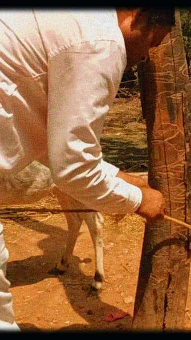 आप सब को जय गुरु महाराज जय सीताराम
भाई हम वनवासी नहीं है,
हम वनवासी नहीं आदिवासीहै।।
दिल्ली में आयोजित आदिवासियों के कार्यक्रम में भरे मंच से आदिवासियों को वनवासी बोलने वाले लोग कौन हैं वह अपनी पहचान पहले बताएं,
हम आदिवासी कौन है क्या है उसको जानने के लिए आपको हमारे जंगलों में और पहाड़ों में आना पड़ेगा,
तब जाकर के आपको आदिवासियों की परंपरा रीति रिवाज और संस्कृति के बारे में पता चलेगा ,
ऐसाथ ही साथ हम कौन है वास्तविक वह भी पता चल जाएगा और तुम किसकी मेहरबानी से आज भी शुद्ध हवा ले रहे हो वह भी तुमको पता चल जाएगा -समाज सेवी दिनेश चंद्र अहारी ✍️