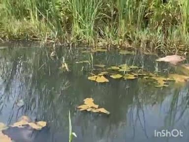 ಹುಮ್ನಾಬಾದ್: ವಿಷಪೂರಿತ ರಾಸಾಯನಿಕ ತ್ಯಾಜ್ಯ ಶಾಶ್ವತ ನಿಲ್ಲಿಸದಿದ್ದರೆ ಸಚಿವ, ಶಾಸಕರ ವಿರುದ್ಧ ಪ್ರತಿಭಟನೆ: ನಗರದಲ್ಲಿ ಕಾರ್ಮಿಕ ಮುಖಂಡ ಶಶಿಕಾಂತ ಡಾಂಗೆ