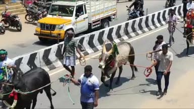 எடப்பாடி: வெள்ளாண்டி வலசு புதுப்பேட்டை ஸ்ரீ மாரியம்மன் கோவில் கும்பாபிஷேக விழா தீர்த்தக் குட ஊர்வலம்