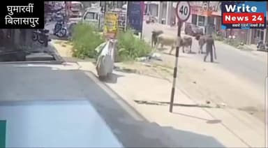 बिलासपुर: नगर परिषद घुमारवीं में आवारा पशु ने किया व्यक्ति को घायल, घटना के बाद व्यक्ति दिखा अचेत, लोगों ने की मदद ।
आज सुबह लगभग 10 बजे के बाद की बताई जा रही घटना, सीसीटीवी में कैद हुई घटना ।
#himachalpradesh #bilaspur #ghumarwin #strayanimals #accident #followers #highlights