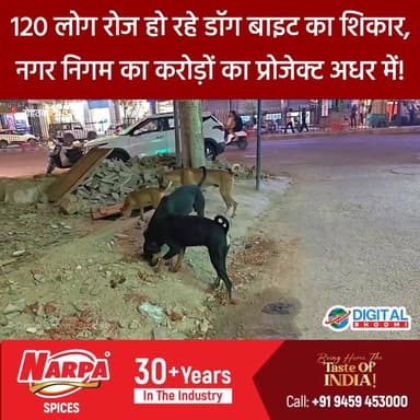 रोहतक में कुत्तों का आतंक! 1 करोड़ का शेल्टर होम सिर्फ कागजों तक सीमित?
.
#rohtak #haryana #news #digitalbhoomi #db #explore