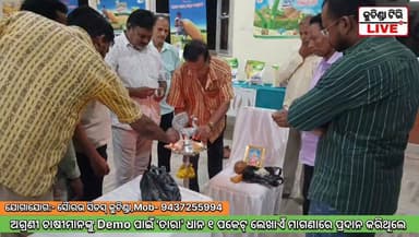 #ତାରା_ଧାନ #ସୈାରଭ_ସିଡସ୍_କୁଚିଣ୍ଡା
ଉନ୍ନତ ମାନର ଧାନ ବିହନ ପାଇଁ ଯୋଗାଯୋଗ କରନ୍ତୁ;- ସୈାରଭ ସିଡସ୍ କୁଚିଣ୍ଡା, Mob;- 9437255994 #kuchindatvlive #kuchinda #public #OdishaNews #BreakingNews #kuchindanews #BREAKING #OdiaNews #ମୀନା_ବଜାର_କୁଚିଣ୍ଡା