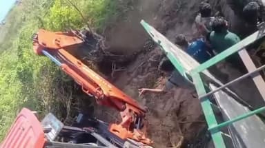 இராமநாதபுரம்: மண்டபம் பகுதிகளில் மக்களை அச்சுறுத்தும் விதமாக சுற்றி திரிந்த காட்டெருமையை மயக்க மருந்து செலுத்தி பிடித்த வனத்துறை:
