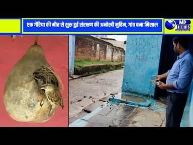 एक गौरैया की मौत से शुरू हुई संरक्षण की अनोखी मुहिम #pannanews @mpnews_live