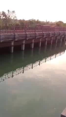 सफीपुर: थाना माखी के क्षेत्र के टेनई गांव में शारदा नहर में फंसा मिला एक अज्ञात युवक का शव, घटना की सूचना पर पहुंची पुलिस