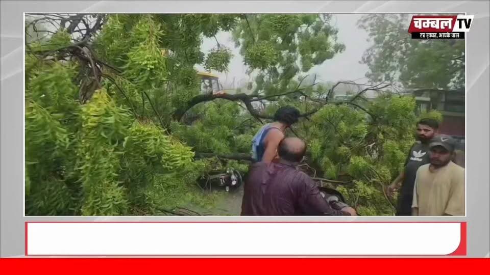 श्योपुर में आंधी-बारिश का कहर, चलते स्कूटी पर गिरा पेड़, युवक की मौत | ChambalTV
#श्योपुर #sheopur #चंबलटीवी #JansamparkMP #LiveNews #livenewshindi #newseason #MadhyaPradesh #vijaypur #breakingnews #Beerpur #HindiNews #chambaltv #newsupdate #समाचार #newsfeed #news #खबर #मुरैना #Chambalnews
