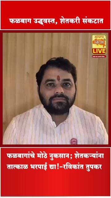 🍊 फळबागांचे मोठे नुकसान! शेतकऱ्यांना तात्काळ भरपाई द्या – रविकांत तुपकर🔴#shorts #viral #video