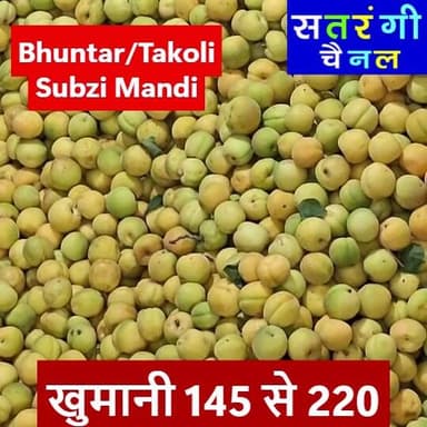 "भुंतर और टकोली सब्जी मंडी अपडेट्स"
3 जून 2026 को भुंतर सब्जी मंडी में सब्ज़ियां और फल क्या भाव बिके | देखें वीडियो
#bhuntarsubzimandi #SatrangiChannel #sabzimanditakoli
#sabzimandisolan #viralpost #tranding #viral