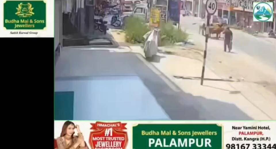 🚨 घुमारवीं के दकड़ी चौक पर आवारा बैल का आतंक! राहगीर को मारी जोरदार टक्कर, सड़क पर मची अफरा-तफरी, कार की चपेट में आने से बाल-बाल बची जान 🚨
#हिमाचल #मेंटोर #बिलासपुर #घुमारवीं #Ghumarwin #Bilaspur #StrayBull #BullAttack #RoadSafety #BreakingNews #HimachalNews #BilaspurNews #LatestNews #HindiNews #NewsUpdate #NewsAlert #ViralNews #TrendingNews #PublicSafety #AccidentAlert #RoadIncident #AnimalAttack #LocalNews #PublicReaction #ViralPost #TopTrending #Headlines #Reporter #Journalism #samacharfirst #TopFollowers #InstaNews #FacebookNews #YouTubeNews #NewsReel #IndiaNews #Breaking #Update #LiveNews #ShockingNews #MustWatch #TrendingNow #ViralReels #PublicNews #NewsToday #Exclusive #FlashNews #HillNews #DevBhoomi #TrafficAlert #CitizenSafety #WatchVideo #IndiaTrending