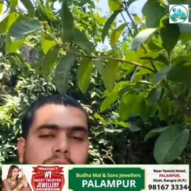 🚨 चामुंडा मंदिर विवाद में आया नया मोड़! सोशल मीडिया पर दोनों पक्षों के वीडियो हुए वायरल, दावों-प्रतिदावों के बीच सच क्या है? आधिकारिक पुष्टि का अब भी इंतजार 🚨
#चामुंडामंदिर #कांगड़ा #हिमाचल #ChamundaTemple #ChamundaDevi #Kangra #HimachalPradesh #BreakingNews #ViralVideo #TrendingNews #LatestNews #HindiNews #NewsUpdate #NewsAlert #FactCheck #RealityCheck #SocialMedia #TempleNews #ReligiousNews #PublicReaction #TruthVsRumors #ViralPost #Exclusive #FlashNews #LiveUpdate #Headlines #Reporter #Journalism #samacharfirst #TopFollowers #TrendingNow #ViralReels #InstaNews #FacebookNews #YouTubeNews #NewsReel #IndiaNews #Breaking #Update #TopNews #MustWatch #PublicInterest #Investigation #TruthRevealed #Debate #Controversy #TempleControversy #NewsToday #HimachalNews #Dharamshala #KangraNews #SocialMediaViral #ExclusiveNews #Alert #TrendingVideo #PublicOpinion #DevBhoomi #SanatanNews