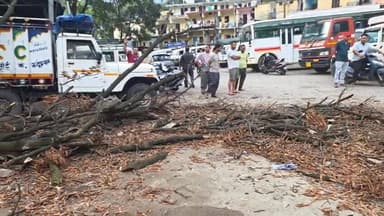 🚨 **न्यू बस अड्डे में टला बड़ा हादसा!** 🚨
रुद्रप्रयाग के न्यू बस अड्डा क्षेत्र में बुधवार शाम एक विशाल सूखा पेड़ अचानक टूटकर **बीकेटीसी उपाध्यक्ष विजय कपरवान** के वाहन पर गिर गया। पेड़ के भारी हिस्से से वाहन बुरी तरह क्षतिग्रस्त हो गया, लेकिन राहत की बात यह रही कि उस समय वाहन में कोई मौजूद नहीं था और कोई जनहानि नहीं हुई।
⚠️ कुछ सेकेंड का फर्क और यह घटना बड़े हादसे में बदल सकती थी।
⚠️ न्यू बस अड्डा नगर का व्यस्ततम क्षेत्र है, जहां दिनभर लोगों की आवाजाही रहती है।
⚠️ स्थानीय लोगों ने प्रशासन पर लापरवाही का आरोप लगाते हुए सूखे और जर्जर पेड़ों को तत्काल हटाने की मांग की है।
🌳 बरसात से पहले नगर क्षेत्र में खतरनाक पेड़ों का सर्वे और निस्तारण जरूरी बताया जा रहा है, ताकि भविष्य में किसी बड़ी दुर्घटना से बचा जा सके।
#Rudraprayag #NewBusAdda #TreeFall #VijayKaparwan #BKTC #UttarakhandNews #RudraprayagNews #BreakingNews #PublicSafety #UttarakhandUpdates 🌲🚨📰