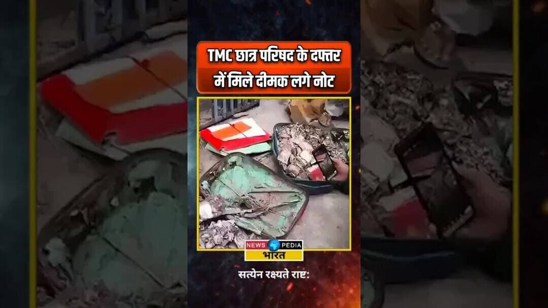 TMC छात्र परिषद के दफ्तर में मिले दीमक लगे नोट। #TMC #tmcstudentwing #westbengal #newsopedia #viral