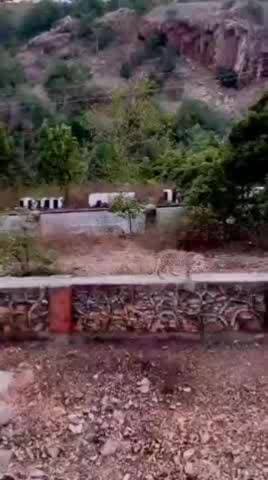 आनंदपुरी: मानगढ़ धाम पहाड़ी पर वन्यजीव संरक्षण से पर्यटन में हो सकता है इजाफा