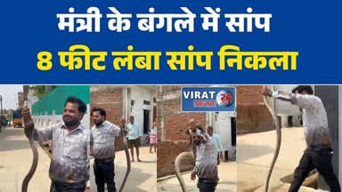 छतरपुर में राज्यमंत्री के बंगले में निकला 8 फीट लंबा सांप, मचा हड़कंप
दिलीप अहिरवार के निवास में विशालकाय सांप का रेस्क्यू, अफरा-तफरी
बंगले में सांप दिखने से मचा हड़कंप, सर्पमित्र ने 5 मिनट में किया रेस्क्यू
छतरपुर: राज्यमंत्री आवास में सांप, सर्पमित्र की सूझबूझ से टला खतरा
8 फीट लंबे सांप का सुरक्षित रेस्क्यू, मंत्री निवास में राहत की सांस#Chhatarpur
#MPNews
#MadhyaPradesh
#DilipAhirwar
#MinisterResidence
#SnakeRescue
#SnakeCatch
#BreakingNews
#LocalNews
#WildlifeRescue
#ReptileRescue
#SarpMitra