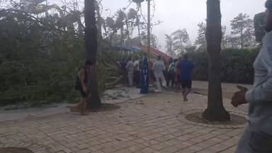 🚨 GIP WATER PARK नोएडा में आंधी-तूफान का कहर
🔴 भयंकर आंधी-तूफान ने दिखाया विकराल रूप
🔴 जीआईपी वाटर पार्क परिसर में गिरे कई विशालकाय पेड़
🔴 पेड़ों के नीचे दबे कई लोगों को सुरक्षित निकाला गया
🔴 मौके पर मची अफरा-तफरी और भगदड़
@noidapolice #Storm #GIPMall #BreakingNews 🌪️🚨🌳 https://t.co/VKFYfXBg0F