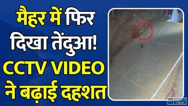 मैहर में तेंदुए का आतंक, CCTV में कैद हुई तस्वीर, मचा हड़कंप
#Maihar #LeopardAlert #CCTVFootage #BreakingNews #MaiharNews #MaaShardaTemple #LeopardSpotted #WildlifeNews #MPNews #ForestDepartment #ViralVideo #AnimalAlert #PublicSafety #LeopardInMaihar #MadhyaPradesh #ShardaDham #WildlifeAlert #NewsUpdate #TrendingNews #MaiharUpdate