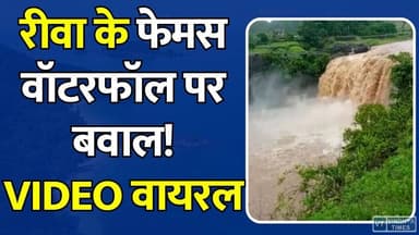 रीवा के फेमस वॉटरफॉल पर बवाल! VIRAL VIDEO से मचा हड़कंप
#vindhyatimes #rewanews #satnanews #shahdolnews #sidhinews #annupurews #umariyanews #singraulinews #naigarhinews #news #mpnews #hindinew #live #bhopal #indore #newsupdate #newslive #PurwaWaterfall #RewaNews #ViralVideo #BreakingNews #Rewa #MPNews #TouristSpot #TouristSafety #WaterfallFight #CrimeNews #PoliceAction #TrendingNews #ViralFight #RewaTourism #NewsUpdate #LawAndOrder #PublicSafety #TourismNews #ViralAlert #RewaUpdate