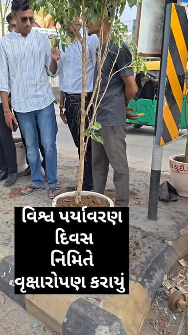 વિશ્વ પર્યાવરણ દિવસ નિમિત્તે અલીપુરા ચાર રસ્તા ખાતે વૃક્ષારોપણ કરાયા
