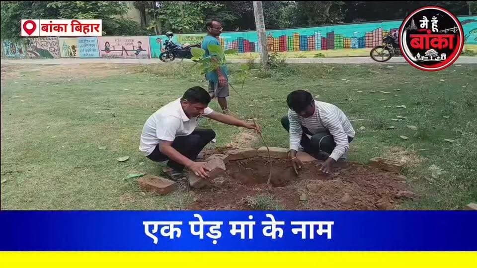 बांका, एक पेड़ मां के नाम, बीडीओ एवं थाना अध्यक्ष ने किया वृक्षारोपण#Banka#Main Hun Banka#Bihar#Vishva paryavaran Divas#live viral
