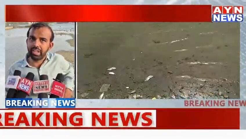 #अजमेर की आना सागर #झील पर @संकट, लगातार मर रही हैं हजारों मछलियां!