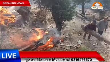 "हिमगिरि फॉरेस्ट रेंज विवाद: लकड़ी तस्करी के बाद FIR, अब सबूत मिटाने के कथित आरोपों से मचा हड़कंप"
#HimgiriForestRange
#ForestNews
#WoodSmuggling
#ForestProtection
#HimachalPradesh
#EnvironmentalProtection
#ForestDepartment
#LocalNews
#Himgiri
#ChambaNews
#IllegalLogging
#SaveForests
#BreakingNews
#PublicConcern
#ForestCrime