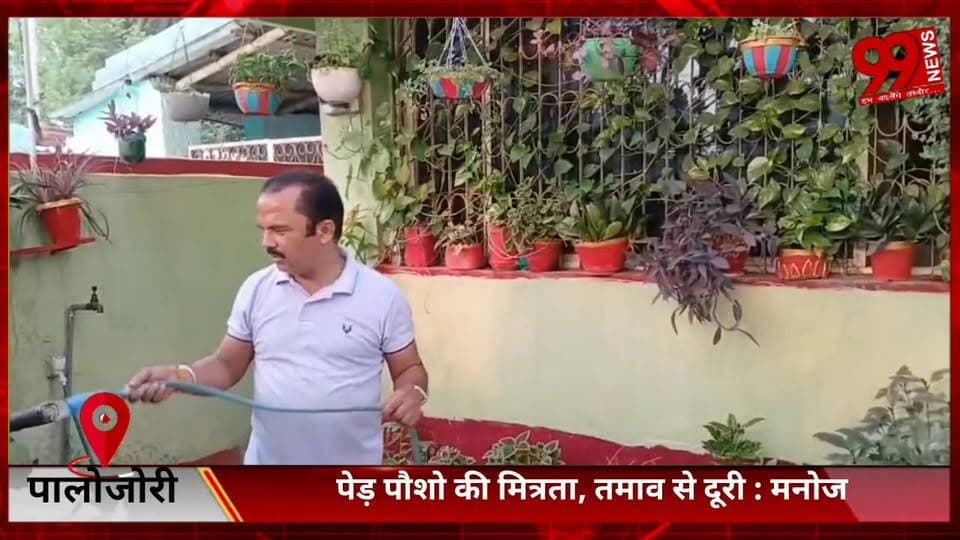#पालोजोरी : #पेड़ #पौशो की #मित्रता, #तमाव से #दूरी : #मनोज