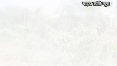 बाढ़डा:- विश्व पर्यावरण दिवस पर "एक पेड़ मां के नाम" अभियान के तहत पौधारोपण
बाढ़डा:- "एक पेड़ मां के नाम" अभियान के प्रणेता कुलदीप शास्त्री की प्रेरणा से चांदवास मंदिर परिसर में पौधारोपण कार्यक्रम आयोजित किया गया। इस अवसर पर भाजपा जिलाध्यक्ष सुनील इंजीनियर ने पौधारोपण कर पर्यावरण संरक्षण का संदेश दिया।
इसके उपरांत बालीबाल एकेडमी में बच्चों को संबोधित करते हुए वृक्षारोपण, स्वच्छ पर्यावरण और प्रकृति संरक्षण के प्रति जागरूक किया गया।