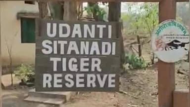 धमतरीं ब्रेकिंग
स्लग -- रक्षक चिड़िया का दुर्लभ वीडियो
धमतरी के सीतानदी उदंती टाइगर रिजर्व से दुर्लभ वीडियो सामने आया है।
इसमे फ्लाई कैचर और व्हाइट ब्रॉड फैंटेल नाम की छोटी चिड़िया ने शिकारी पक्षी क्रेस्टेड सर्फेन्ट ईगल के सर पर बार हमला करते हुए उड़ जाती है।
लगातार ऐसे हमले कर एक छोटी सी चिड़िया शिकारी पक्षियों से अपने अंडों और बच्चों की रक्षा करती है।
वैज्ञानिक भाषा मे इस रक्षा तकनीक को मोबिंग कहा जाता है।
#ChhattisgarhNews #RaipurChhattisgarh #रायपुर #news #dhamtri #सीतानदी_उदंती_टाइगर_रिजर्व #दुर्लभ