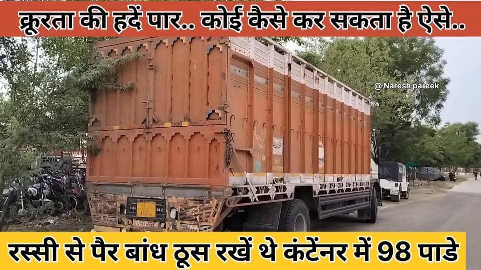 क्रूरता की हदें पार.. कंटेंनर में क्षमता से अधिक 1 या दो नहीं बल्कि 98 पाडे.. रस्सी से पैर बांधकर ठूस -ठूसकर भरें थे
#4समाचार #fypシ゚viralシ #क्रूरता #पशु क्रूरता अधिनियम #letestnewshindi #iaschuru #ChuruPolice #enimallovr #nareshpareek