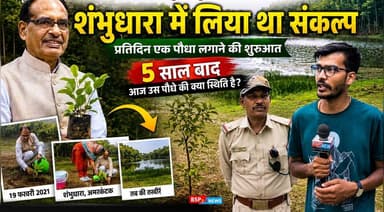 अमरकंटक में पूर्व सीएम शिवराज सिंह ने लगाया था जो पौधा !! 5 साल बाद क्या है स्थिति ? Shivraj Singh Chouhan shambhu dhara Amarkantak bsp24news
#shivrajsinghchauhan
#amarkantak