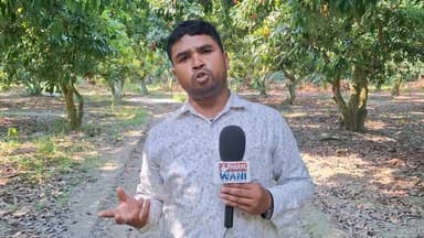 सोशल मीडिया पर छाई "कॉकरोच जनता पार्टी" की खूब चर्चा हो रही है। लेकिन सवाल यह है कि क्या वायरल होने से ही जनता का भरोसा जीत लिया जाता है?
क्या यह पार्टी धरातल पर अपनी उपलब्धियां साबित कर पाएगी या सिर्फ सोशल मीडिया की सुर्खियों तक ही सीमित रहेगी?
पूरा वीडियो देखें और अपनी राय कमेंट में जरूर बताएं। 👇
#ViralVideo #SocialMedia #TrendingNews #PoliticalDiscussion #HindiNews #FacebookVideo #ViralContent #NewsUpdate