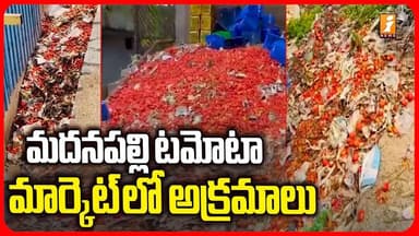 మదనపల్లి టమోటా మార్కెట్ లో అక్రమాలు|Shocking Allegations of MadanapalleTomato Market Updates | iNews