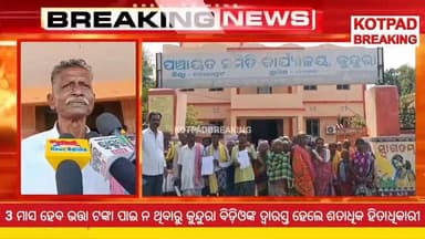 #ଭତ୍ତାଟଙ୍କା_ପାଇଁ_BDOଙ୍କ_ଦ୍ୱାରସ୍ତ_ହିତାଧିକାରୀ
କୋଟପାଡ଼ : 3ମାସ ହେବ ଭତ୍ତା ଟଙ୍କା ମିଳୁ ନ ଥିବାରୁ ବହୁ ଅସୁବିଧା ଭୋଗୁଛନ୍ତି କୋଟପାଡ଼ ନିର୍ବାଚନ ମଣ୍ଡଳୀ କୁନ୍ଦୁରା ବ୍ଳକର ଶତାଧିକ ହିତାଧିକାରୀ #kotpadbreakingnews #kotpad #kundra #koraput #DurgamaOdisha #PensionIssue #fbviralvideo #nonfollowers #viralvideo District Magistrate Koraput CMO Odisha @highlight #thankyouforyoursupport #thankyouforwatchingmyreels
